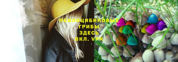 a pvp Баксан